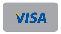 Visa / Google Pay